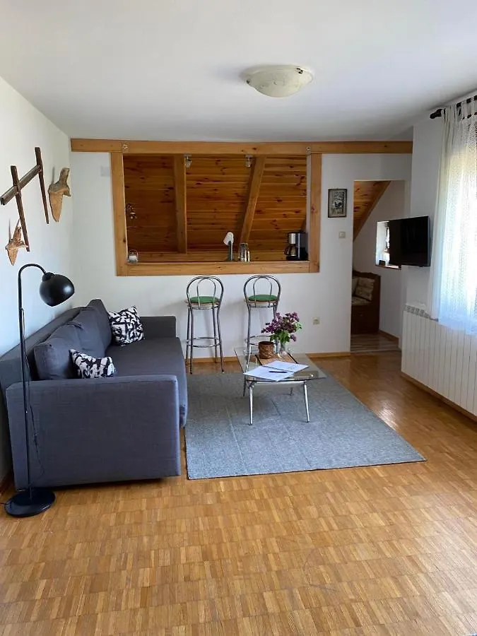Apartmani Gruzdovo Delnice